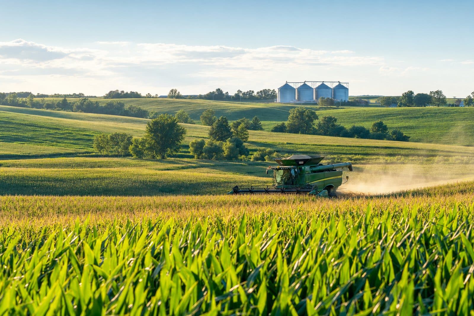 Agriculture & agri-processing